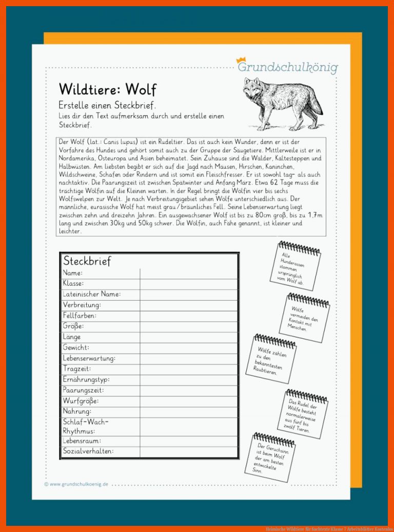 Heimische Wildtiere für sachtexte klasse 7 arbeitsblätter kostenlos