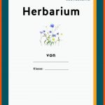 Herbarium Fuer Pflanzensteckbriefe Vorlagen Arbeitsblätter