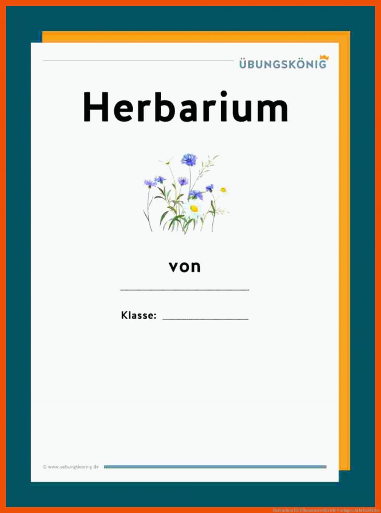 Herbarium für pflanzensteckbriefe vorlagen arbeitsblätter