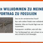 Herzlich Willkommen Zu Meinem Vortrag Zu Fossilien - Ppt Herunterladen Fuer Fossilien Arbeitsblatt