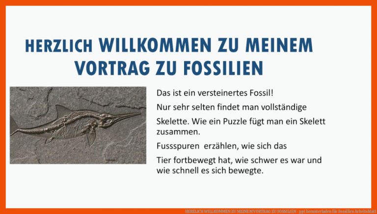 Herzlich Willkommen Zu Meinem Vortrag Zu Fossilien - Ppt Herunterladen Fuer Fossilien Arbeitsblatt