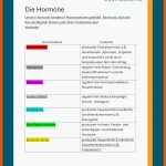 Hormone Fuer Hormondrüsen Des Menschen Arbeitsblatt