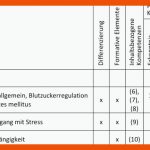 Hormone Fuer Hormone Arbeitsblatt