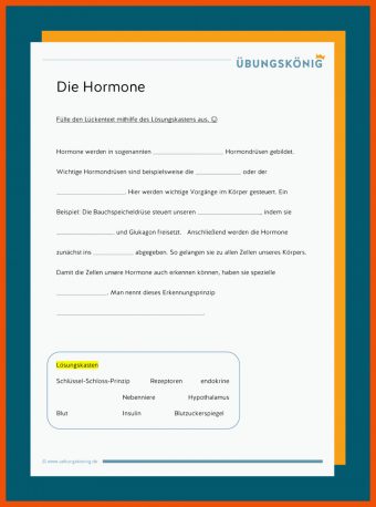 Hormone Arbeitsblatt