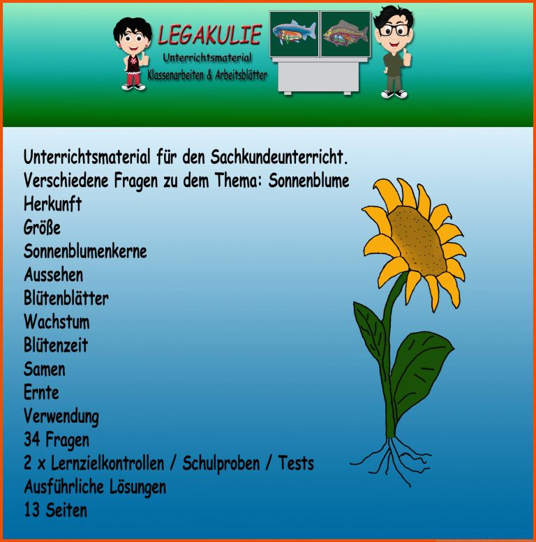 HSU Sonnenblume | Sonnenblumen, Unterrichtsmaterial grundschule ... für sonnenblume arbeitsblatt kindergarten