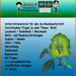 Hsu Wald Sachkunde, Klassenarbeiten, Lehramt Grundschule Fuer Nahrungsnetz Wald Arbeitsblatt