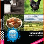 Huhn Und Ei - Haltung Und Mythen: Dvd Mit Interaktiven ArbeitsblÃ¤ttern Fuer Vom Ei Zum Huhn Arbeitsblatt
