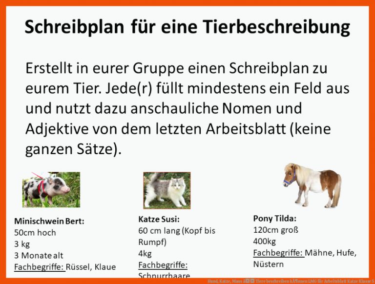 Hund, Katze, Maus â Tiere Beschreiben KÃ¶nnen Lmg Fuer Arbeitsblatt Katze Klasse 5