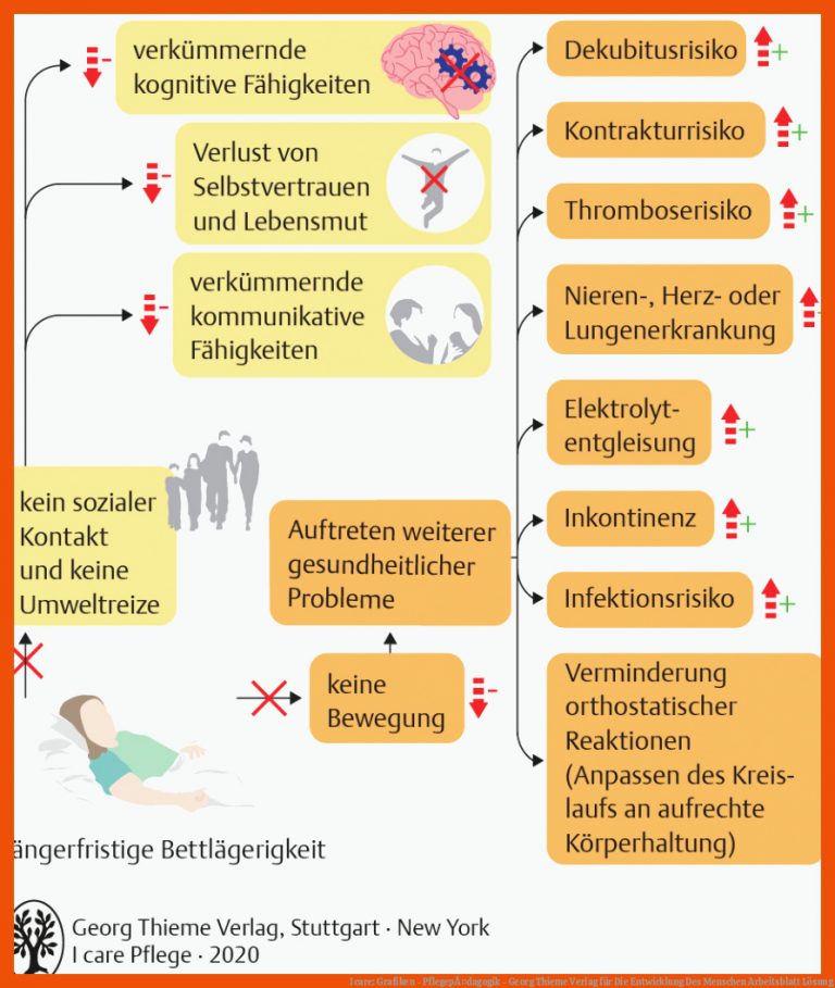 I Care: Grafiken - PflegepÃ¤dagogik - Georg Thieme Verlag Fuer Die Entwicklung Des Menschen Arbeitsblatt Lösung