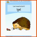 Igel-werkstatt FÃ¼r Die Grundschule Fuer Arbeitsblätter Igel