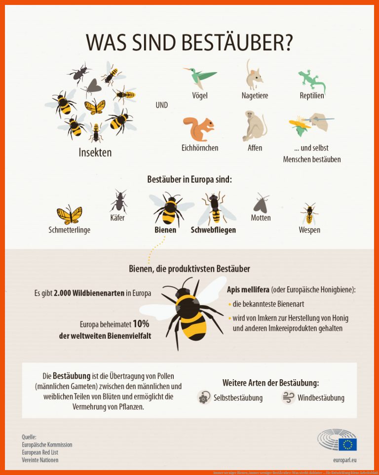 Immer Weniger Bienen, Immer Weniger BestÃ¤uber: Was Steckt Dahinter ... Fuer Entwicklung Biene Arbeitsblatt