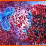 Immunsystem: so Funktionieren Unsere AbwehrkrÃ¤fte - Netdoktor Fuer Zusammenspiel Der Zellen Im Immunsystem Arbeitsblatt