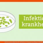 Infektionskrankheiten Â» Definition & Symptome Pflege.de Fuer Phasen Einer Infektionskrankheit Arbeitsblatt