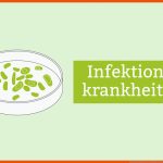 Infektionskrankheiten Â» Definition & Symptome Pflege.de Fuer Vergleich Viren Bakterien Arbeitsblatt