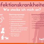 Infektionskrankheiten â Heilpraxis Fuer Phasen Einer Infektionskrankheit Arbeitsblatt