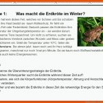 Infokarten Winter- Oder KÃ¤ltestarre Fuer atmung Frosch Arbeitsblatt
