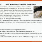 Infokarten Winter- Oder KÃ¤ltestarre Fuer fortpflanzung Zauneidechse Arbeitsblatt