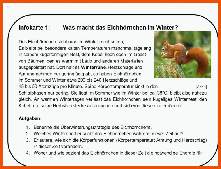 Infokarten Winterruhe für arbeitsblatt eichhörnchen beschriften