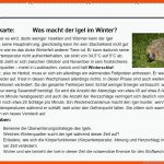Infokarten Winterschlaf Fuer Igel Arbeitsblatt 1. Klasse