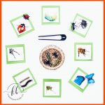 Insekten AktivitÃ¤ten - Kindergartenblog Fuer Insekten Arbeitsblatt Pdf