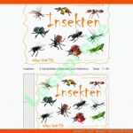 Insekten - Tiere - Biologie - Kosmisch Fuer Wirbellose Tiere Arbeitsblatt