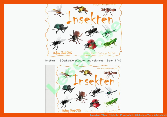 Insekten - Tiere - Biologie - Kosmisch für wirbellose tiere arbeitsblatt