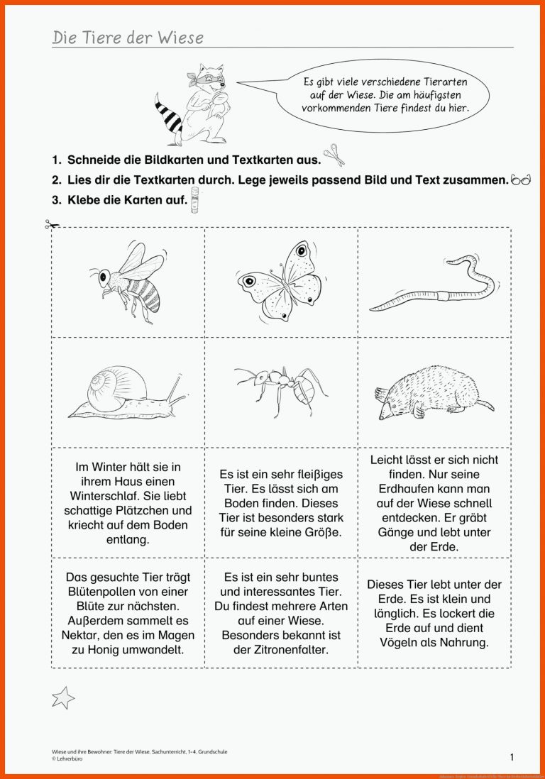 Johannes-kepler-grundschule K5 Fuer Tiere Im Herbst Arbeitsblätter