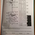 Kann Mir Jemand Bei Dem Arbeitsblatt Bitte Helfen? (schule ... Fuer Verdauungsorgane Arbeitsblatt