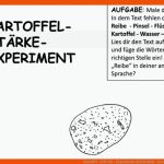 Kartoffel - StÃ¤rke - Experiment: Arbeitsblatt - Zentrum FÃ¼r ... Fuer Arbeitsblatt Kartoffel