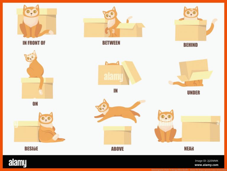 Katzensprache Stock-Vektorgrafiken kaufen - Alamy für körpersprache katze arbeitsblatt