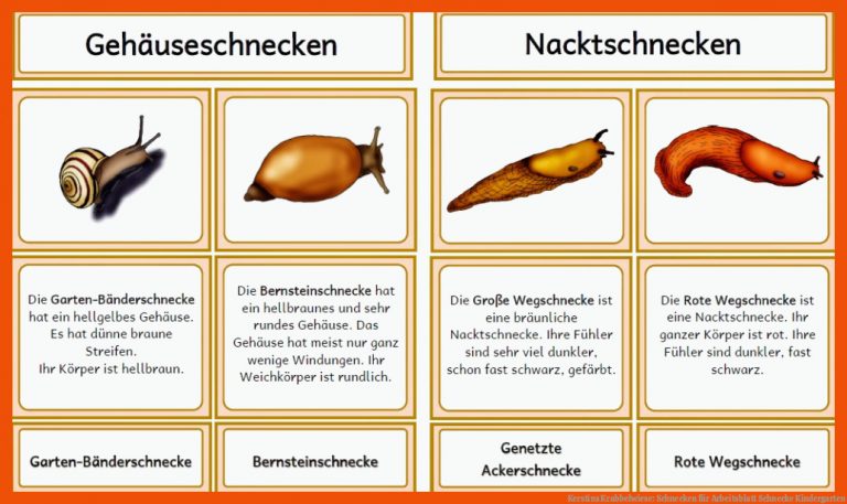 Kerstins Krabbelwiese: Schnecken für arbeitsblatt schnecke kindergarten