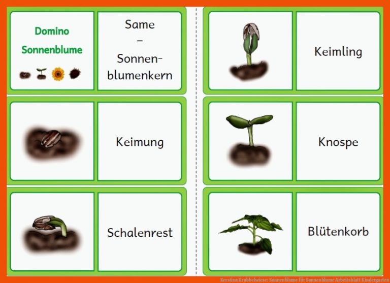 Kerstins Krabbelwiese: Sonnenblume für sonnenblume arbeitsblatt kindergarten