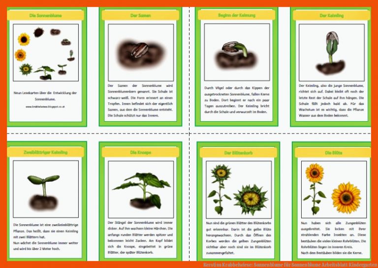Kerstins Krabbelwiese: Sonnenblume für sonnenblume arbeitsblatt kindergarten