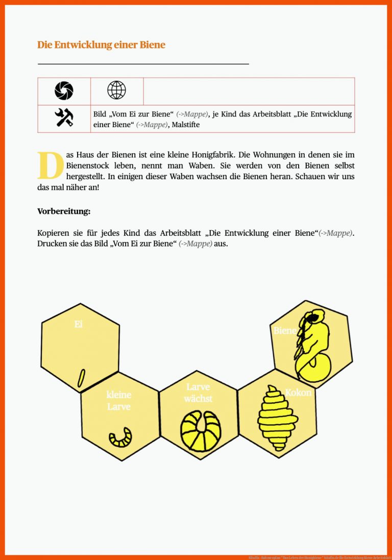 Kitafix-rahmenplan "das Leben Der Honigbiene" Kitafix.de Fuer Entwicklung Biene Arbeitsblatt