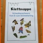 Klettmappe: Vom Ei Zum Schmetterling (schwalbenschwanz ... Fuer Symmetrie Schmetterling Arbeitsblatt