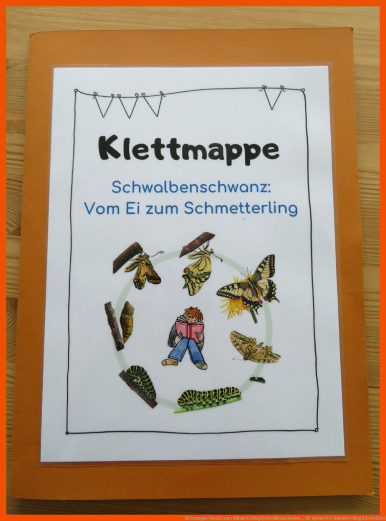 Klettmappe: Vom Ei zum Schmetterling (Schwalbenschwanz ... für symmetrie schmetterling arbeitsblatt