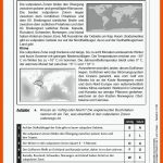 Klimazonen An Stationen / Grundschule Fuer Klimazonen Der Erde Arbeitsblatt