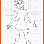 KÃrper 2 - Deutsch Daf Arbeitsblatter Fuer Der Körper Arbeitsblatt