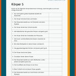 KÃ¶rper Fuer Stoffe Und Körper Arbeitsblatt