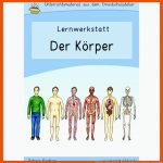 KÃ¶rper-werkstatt FÃ¼r Die Grundschule Fuer Der Körper Arbeitsblatt