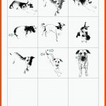 KÃ¶rpersprache Hund â Unterrichtsmaterial In Den FÃ¤chern ... Fuer Körpersprache Hund Arbeitsblatt