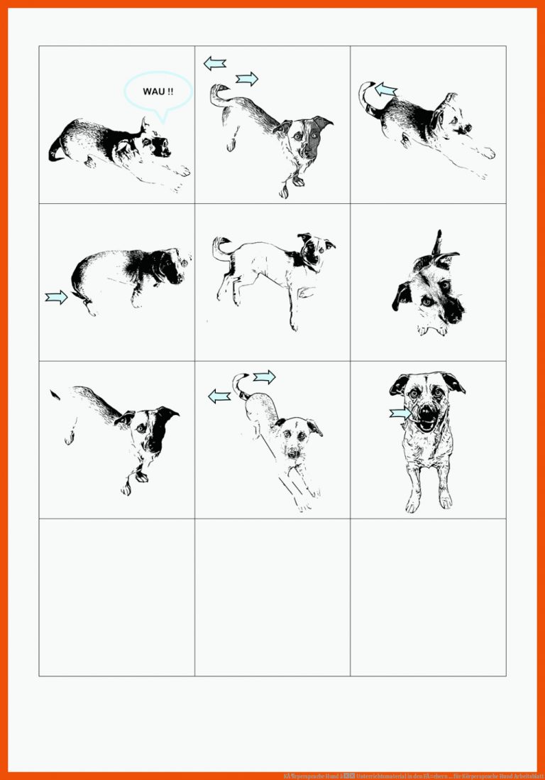 KÃ¶rpersprache Hund â Unterrichtsmaterial in den FÃ¤chern ... für körpersprache hund arbeitsblatt