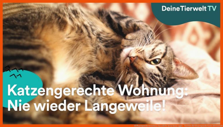 KÃ¶rpersprache Verstehen: Das Will Dir Deine Katze Sagen - Youtube Fuer Körpersprache Katze Arbeitsblatt