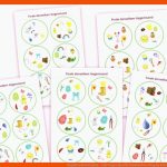 Kognitive Entwicklung - 6 JÃ¤hriges Kind Fuer Schulvorbereitung Im Kindergarten Arbeitsblätter