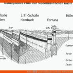 Kohle â Landesbildungsserver Baden-wÃ¼rttemberg Fuer Entstehung Kohle Arbeitsblatt