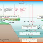 Kohlendioxidspeicher Â« World Ocean Review Fuer Kohlenstoffkreislauf Arbeitsblatt