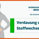Kohlenhydrate (2/6): Verdauung, Stoffwechsel Und Das Hormon Insulin Workshop ErnÃ¤hrung Fuer Stoffwechsel Des Menschen Arbeitsblatt