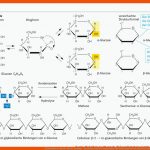 Kohlenhydrate Quelle, Markl-biologie. - Ppt Video Online Herunterladen Fuer Kohlenhydrate Im überblick Arbeitsblatt Klett Lösungen