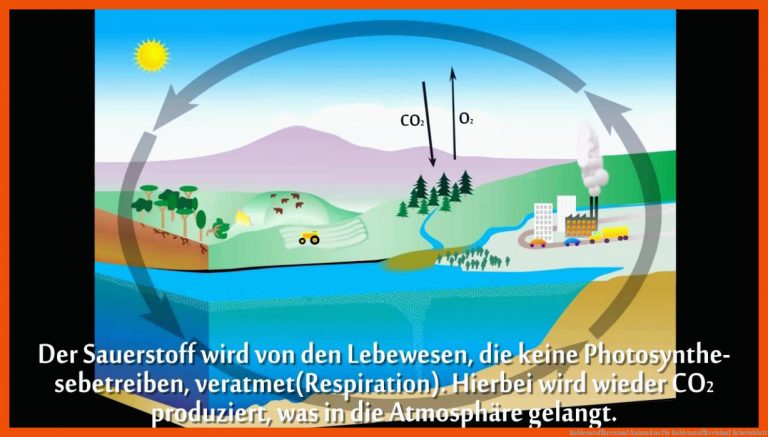 Kohlenstoffkreislauf Animation für kohlenstoffkreislauf arbeitsblatt