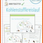 Kohlenstoffkreislauf Powerpoint PrÃ¤sentation Und ArbeitsblÃ¤tter ... Fuer Kohlenstoffkreislauf Arbeitsblatt